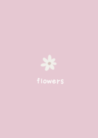 Flowers -daisy- pink