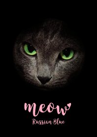 Meow - Black & Pink @ペットグランプリ
