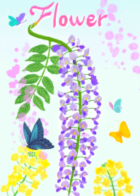 Flower -Spring-
