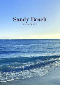 Sandy Beach HAWAII - SEA 31
