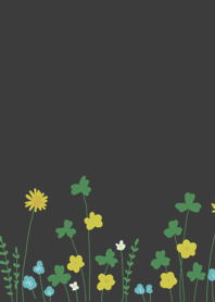 Wild little flower