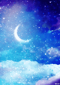 *幻想的夜空*