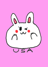 rabit