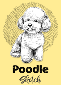 POODLE Sketch