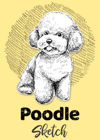 poodle dog vector sketch 7310079 Vector Art at Vecteezy