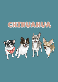 chihuahua3 / neil blue