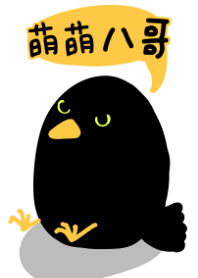萌萌八哥