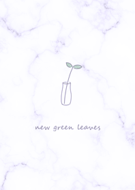 Simple fresh green purple11_2