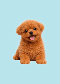 Plush Toy Poodle Green 09