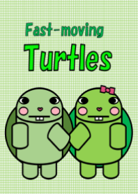 turtle's