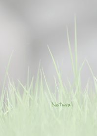 Natural green Theme 3