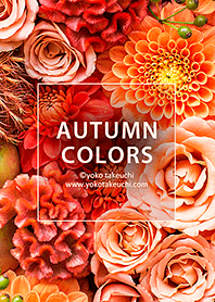 秋のプランツ - AUTUMUN COLORS