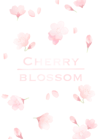 cherry blossom*