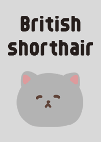 Cute British Shorthair Theme 3
