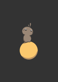 rabbit staring - moon