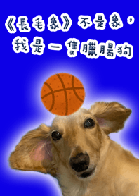 《長毛象》不是象，我是一隻臘腸狗