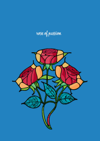 rose of passion on blue