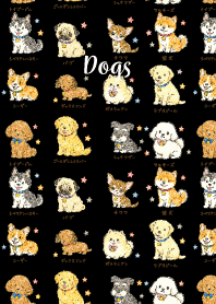 My beloved dog01 black