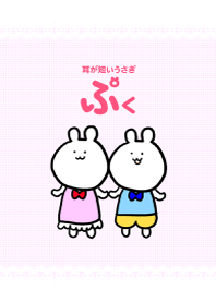 耳が短いうさぎのぷく
