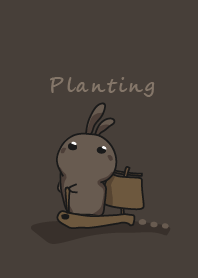 rabbit staring - planting