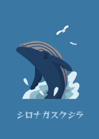 Blue whale / simple