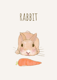 RABBIT -carrot-