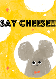SAY CHEESE!!