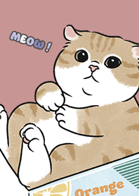 neko single16 - pale pink