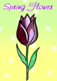 Spring Flower-Fifth-