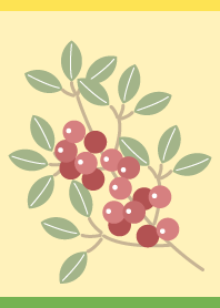 Nandina berries on yellow