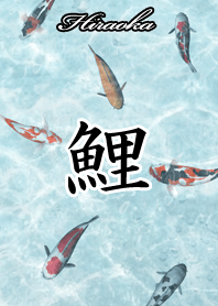 Hiraoka Japanese style carp