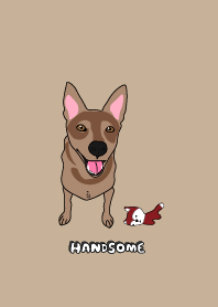 Puppy Handsome.