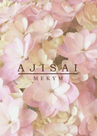 AJISAI-Natural Flower 6