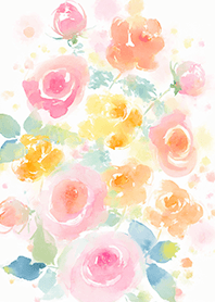 Beautiful rose flower(R4267)