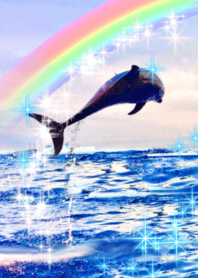 輝く幸運の海　虹　イルカ　全体運上昇