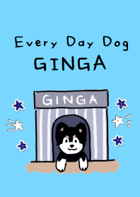 Every Day Dog GINGA