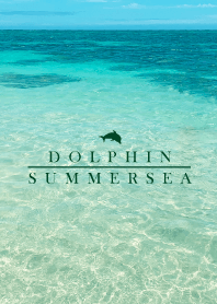 SUMMER SEA -DOLPHIN- 8