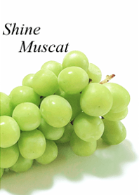 My favorite, the Shine Muscat9
