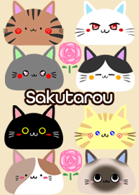 Sakutarou Scandinavian cute cat4