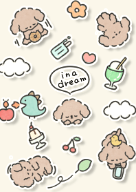 yellow Toy poodle falls asleep 14_2