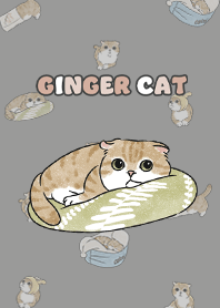 gingercat11 / dim grey