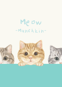 Meow - Munchkin - AQUA GREEN