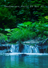 Headwaters Photo #8-6 Not AI