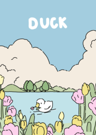 DUCK K