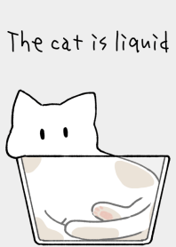 O gato é líquido [branco]