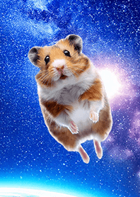 【宇宙ハムスター】キョトン顔ver