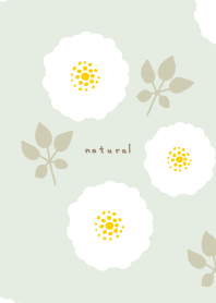 round white flowers leaves26 from Japan