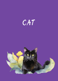 there's a cat on purple