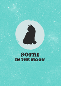 SOFIA In The Moon.lonely cat