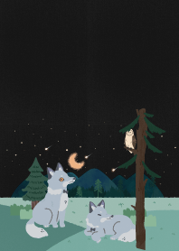 wolf_forest
